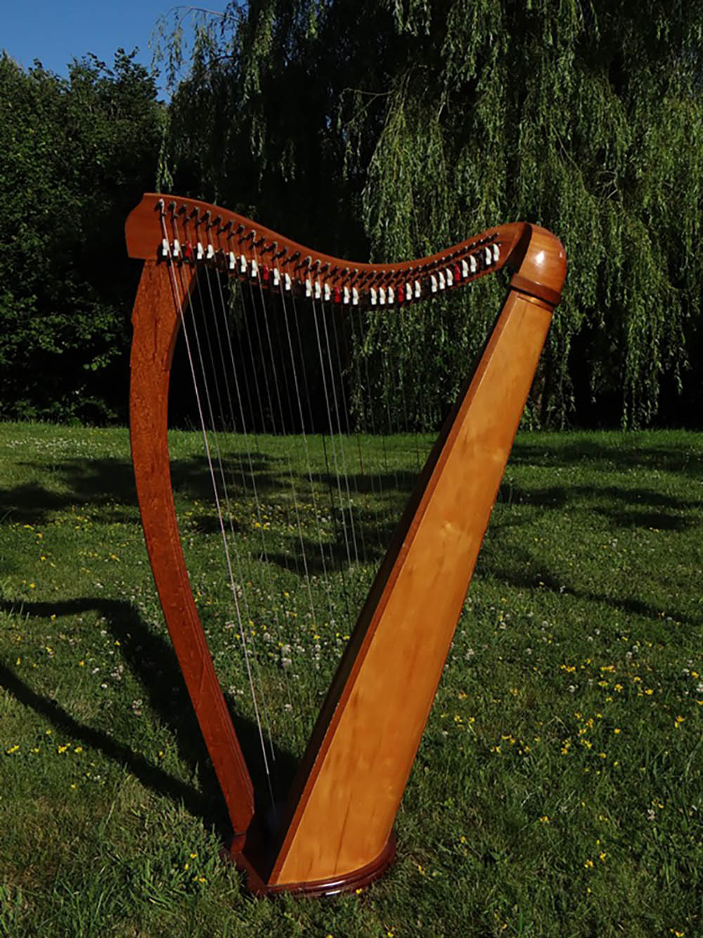 Envoûtante et délicate : la harpe celtique mise à l'honneur à Dinan