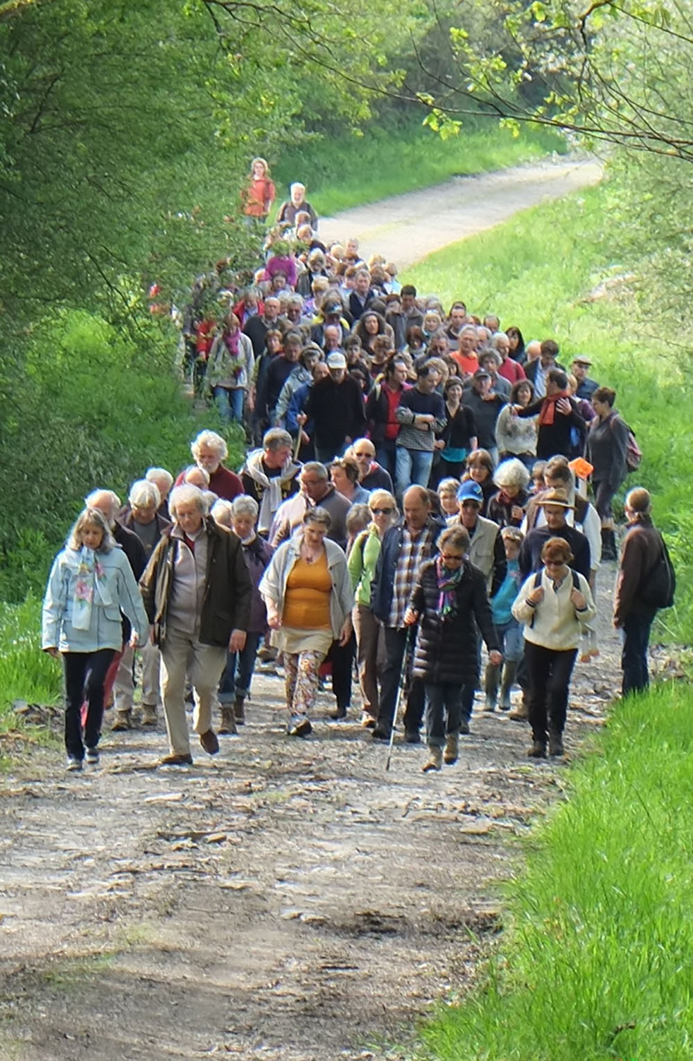 Fête du chant traditionnel de Bovel 11