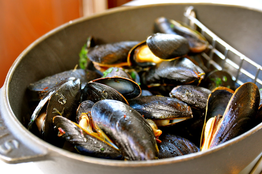 La culture des moules de bouchot à Pénestin